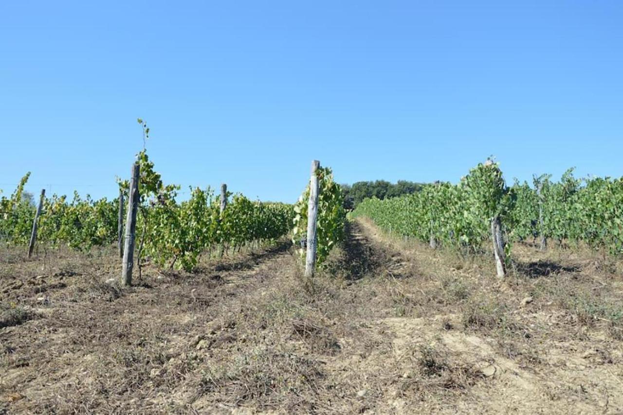 Agriturismo Fattoria Di Statiano Pomarance Exteriör bild